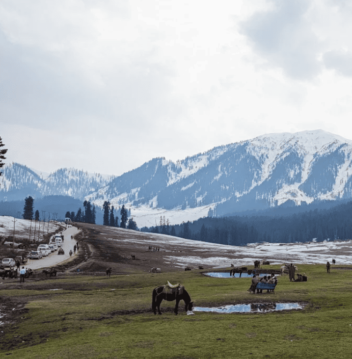 Doodhpathri Kashmir Green meadows and mountains in Doodhpathri Kashmir