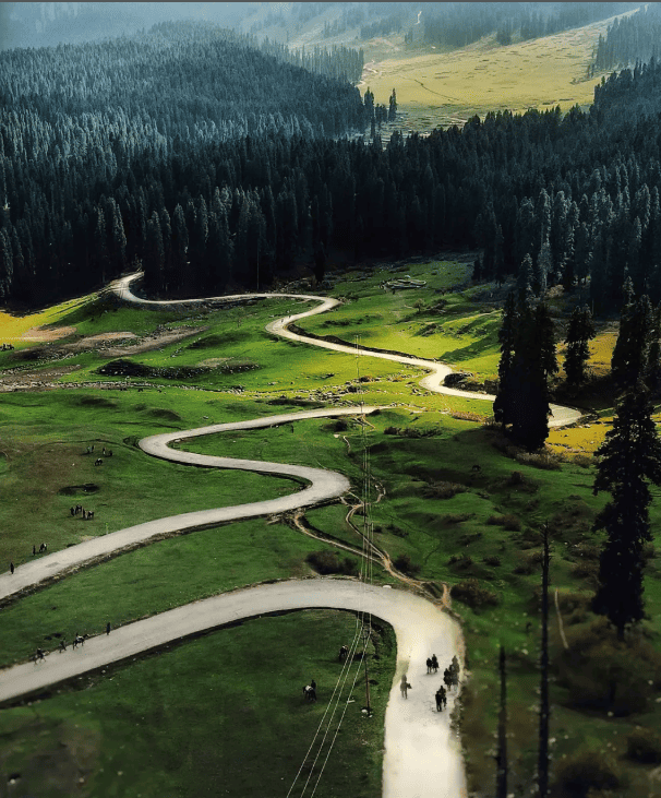 Doodhpathri Meadows Scenic landscape of Doodhpathri with green meadows